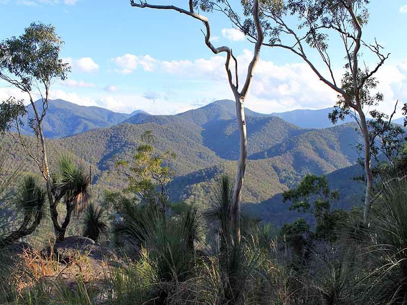 2973 Willi Willi Road, Moparrabah NSW 2440