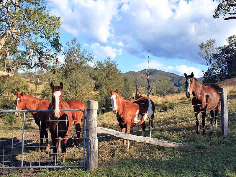 2973 Willi Willi Road, Moparrabah NSW 2440