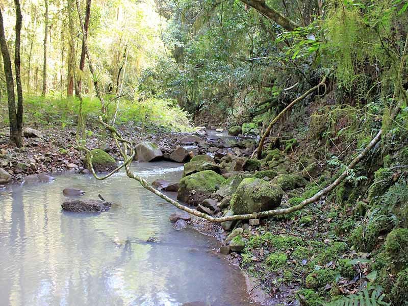 2973 Willi Willi Road, Moparrabah NSW 2440