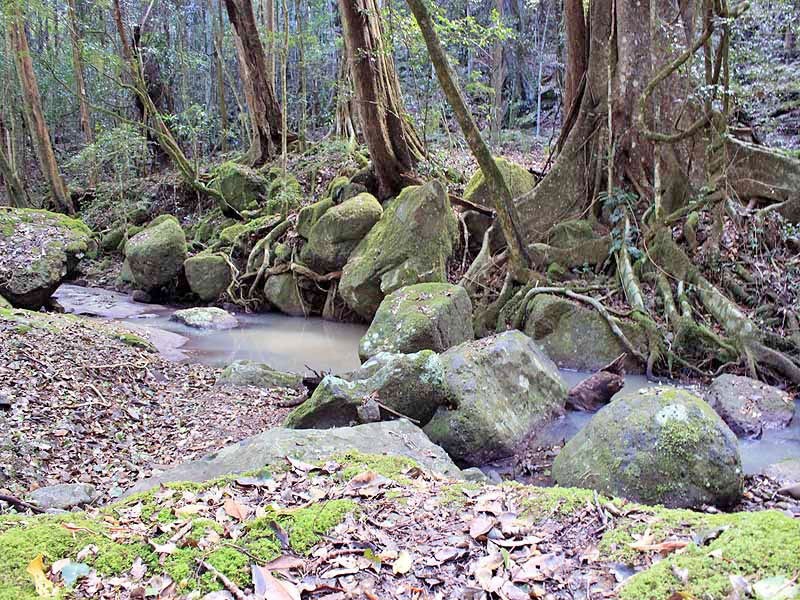 2973 Willi Willi Road, Moparrabah NSW 2440