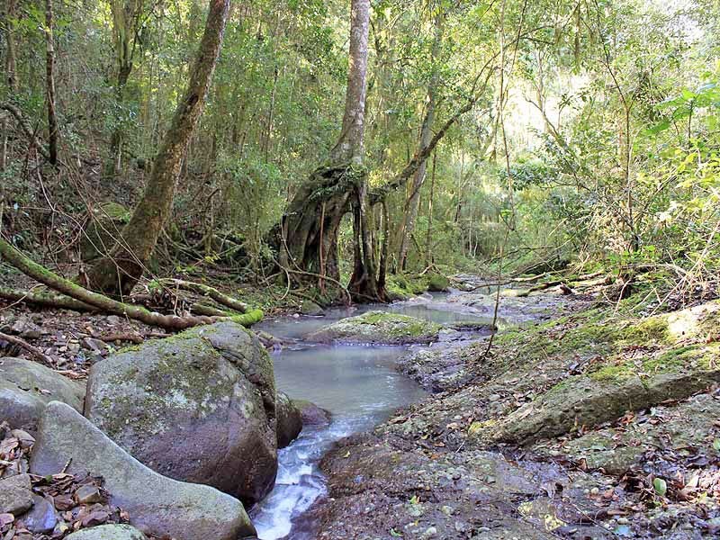 2973 Willi Willi Road, Moparrabah NSW 2440