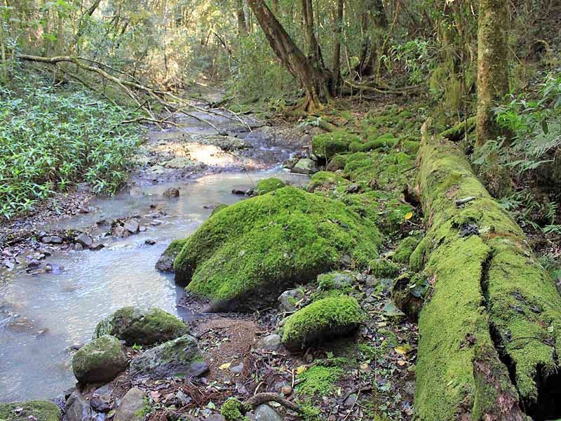 2973 Willi Willi Road, Moparrabah NSW 2440