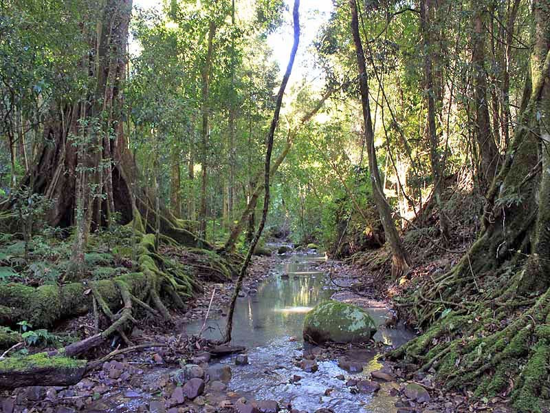 2973 Willi Willi Road, Moparrabah NSW 2440