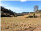 2973 Willi Willi Road, Moparrabah NSW 2440