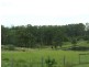 601 Smiths Creek Road, Kundabung NSW 2441