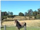 601 Smiths Creek Road, Kundabung NSW 2441