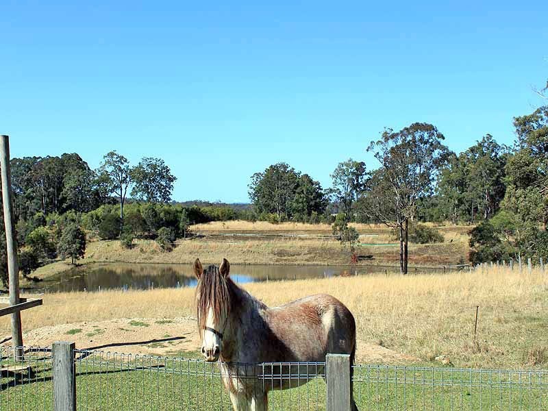 601 Smiths Creek Road, Kundabung NSW 2441