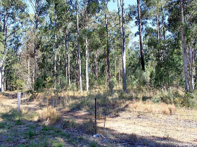 601 Smiths Creek Road, Kundabung NSW 2441