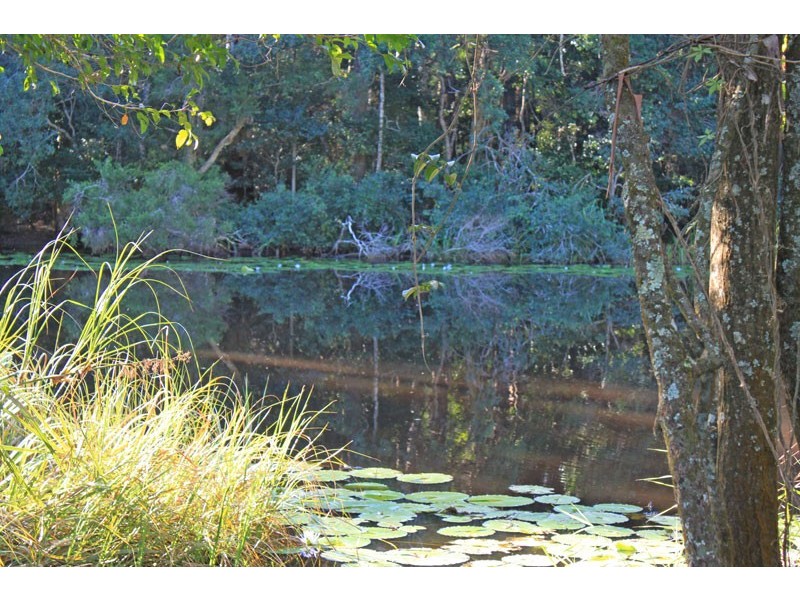 Lot 12 Maria River Road, Crescent Head NSW 2440