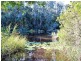 Lot 12 Maria River Road, Crescent Head NSW 2440