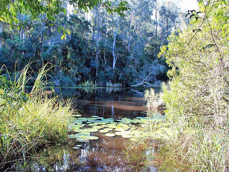 Lot 12 Maria River Road, Crescent Head NSW 2440