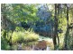 Lot 12 Maria River Road, Crescent Head NSW 2440