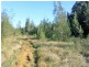 Lot 12 Maria River Road, Crescent Head NSW 2440