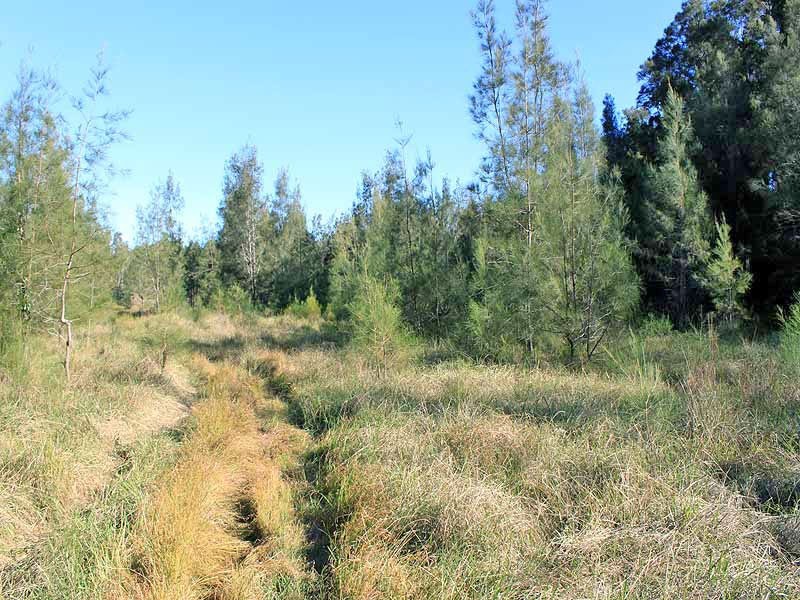 Lot 12 Maria River Road, Crescent Head NSW 2440