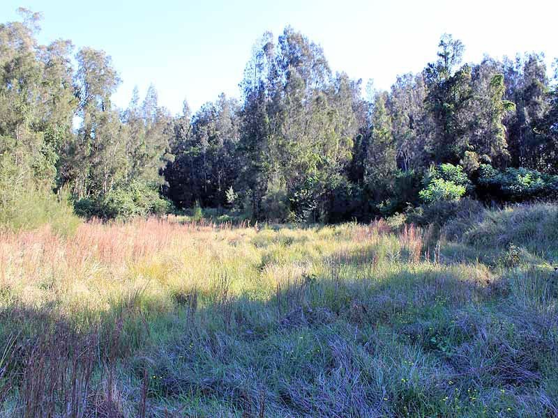 Lot 12 Maria River Road, Crescent Head NSW 2440