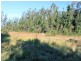 Lot 12 Maria River Road, Crescent Head NSW 2440