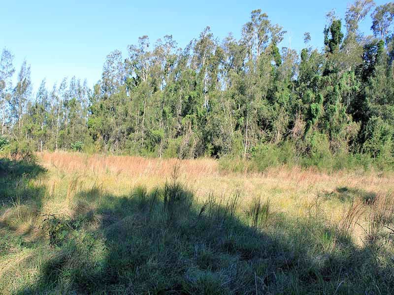 Lot 12 Maria River Road, Crescent Head NSW 2440