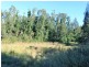 Lot 12 Maria River Road, Crescent Head NSW 2440