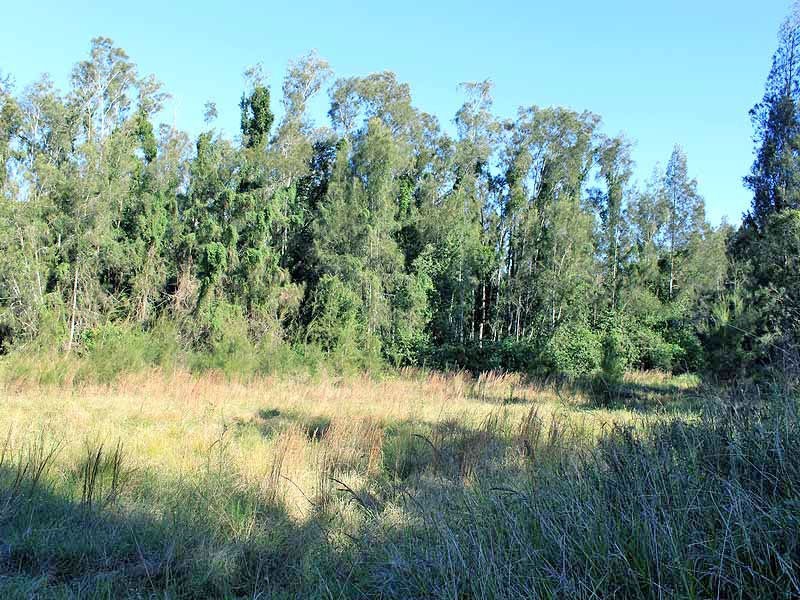 Lot 12 Maria River Road, Crescent Head NSW 2440