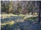 Lot 12 Maria River Road, Crescent Head NSW 2440