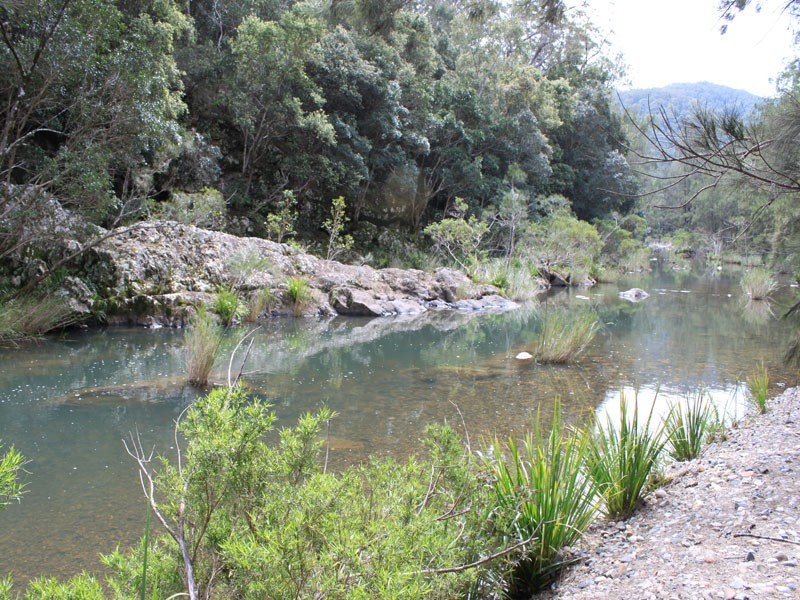 577 Toorumbee Road, Moparrabah NSW 2440