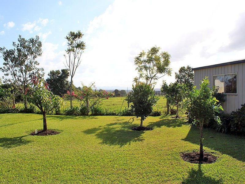 56 Cyrus Saul Circuit, Frederickton NSW 2440