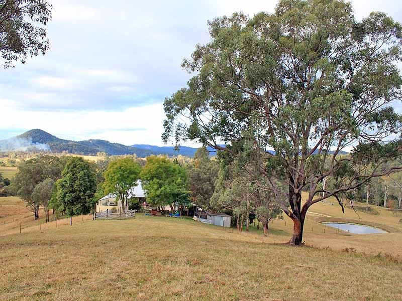 111 Brassils Creek Road, Toorooka NSW 2440