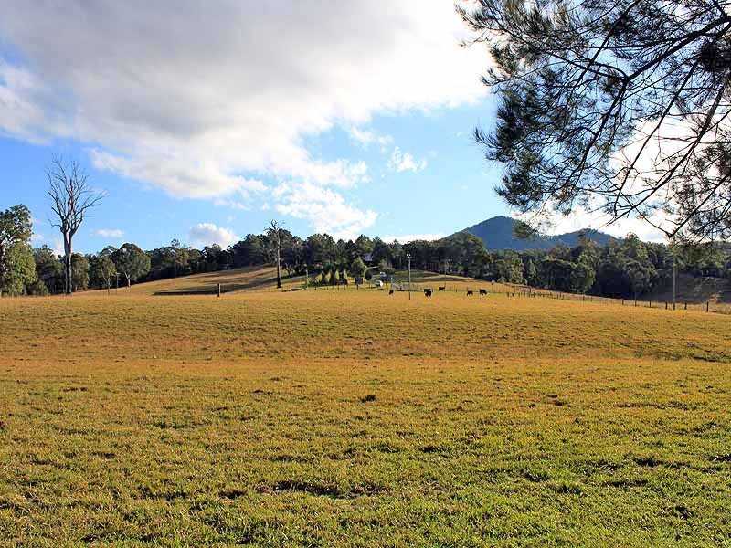 111 Brassils Creek Road, Toorooka NSW 2440