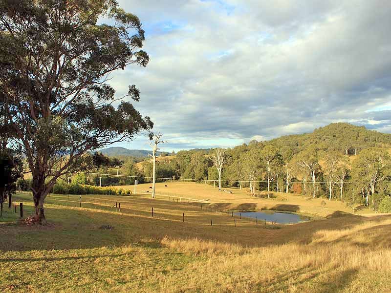111 Brassils Creek Road, Toorooka NSW 2440