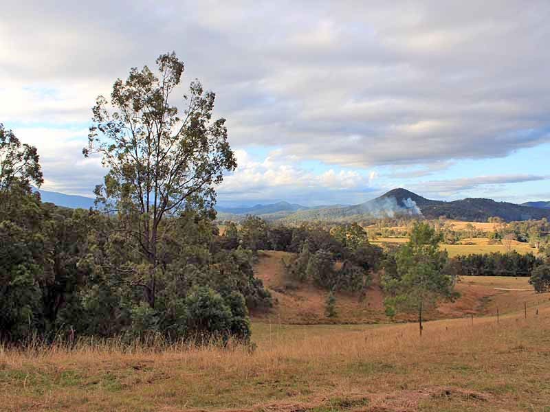 111 Brassils Creek Road, Toorooka NSW 2440