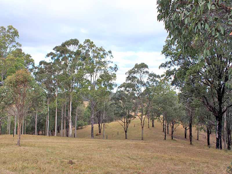 111 Brassils Creek Road, Toorooka NSW 2440