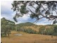 111 Brassils Creek Road, Toorooka NSW 2440