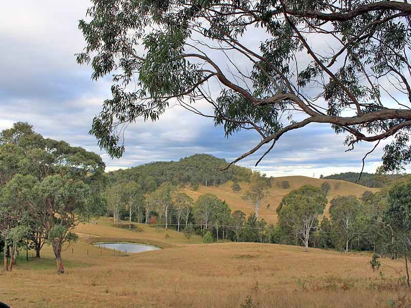 111 Brassils Creek Road, Toorooka NSW 2440