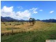 566 Fifes Creek Road, Bellbrook NSW 2440