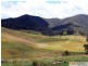 566 Fifes Creek Road, Bellbrook NSW 2440