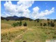 566 Fifes Creek Road, Bellbrook NSW 2440