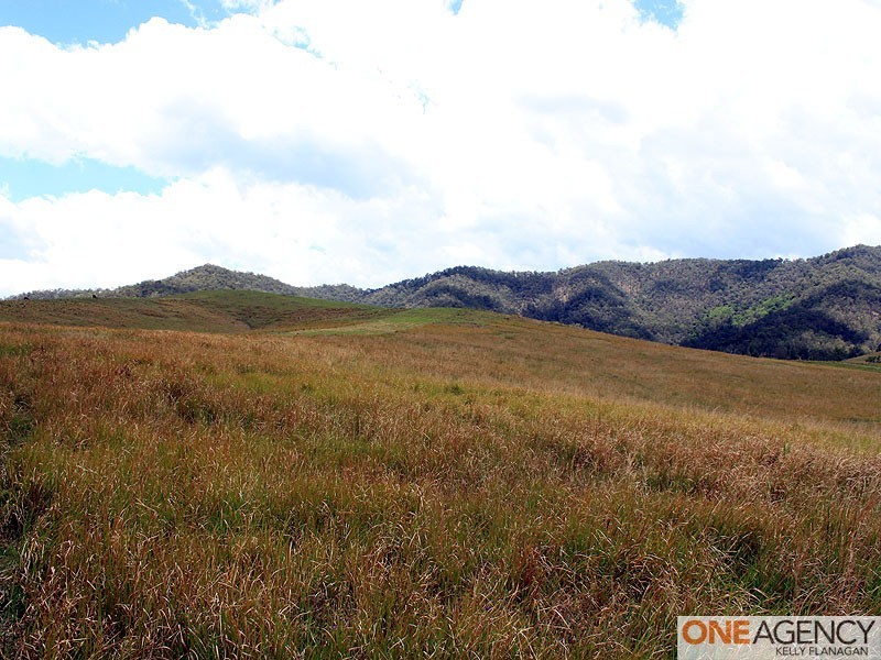 566 Fifes Creek Road, Bellbrook NSW 2440