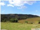 566 Fifes Creek Road, Bellbrook NSW 2440