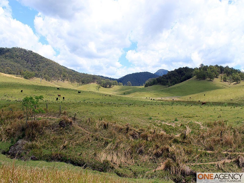 566 Fifes Creek Road, Bellbrook NSW 2440