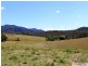 566 Fifes Creek Road, Bellbrook NSW 2440