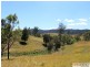 566 Fifes Creek Road, Bellbrook NSW 2440