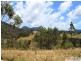 566 Fifes Creek Road, Bellbrook NSW 2440