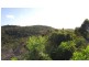 Lot 906 & 907 DP 752038, Beacon Hill NSW 2100