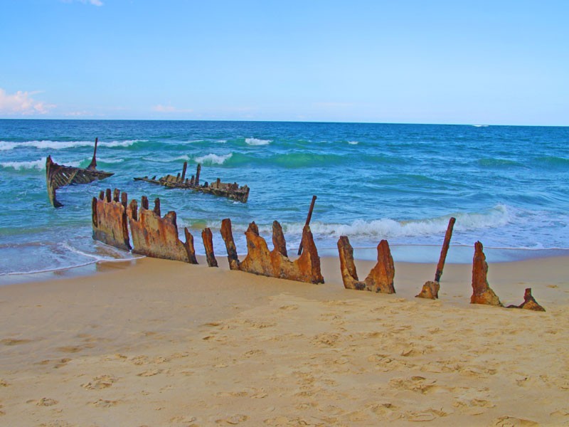 Dicky Beach QLD 4551