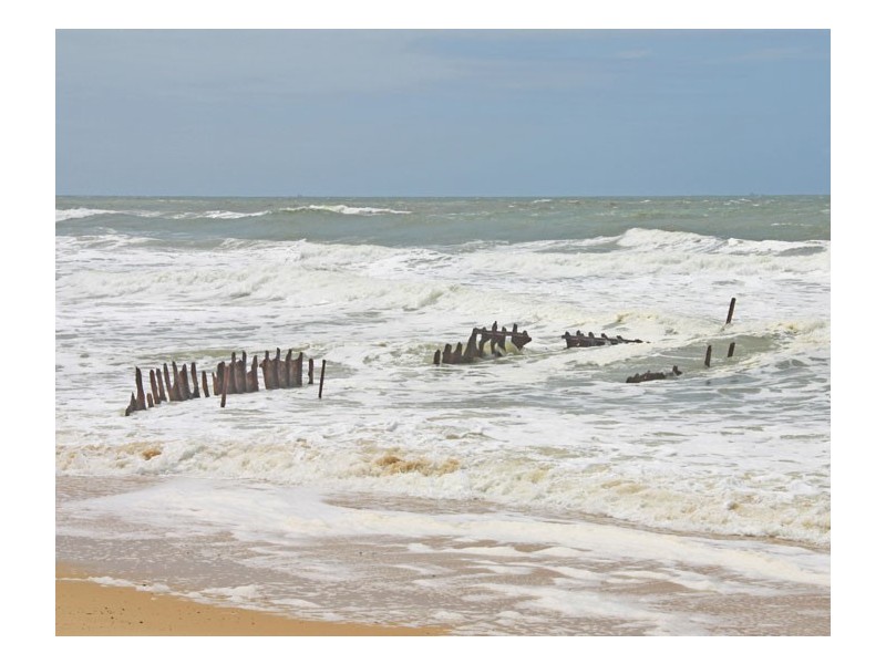 Dicky Beach QLD 4551