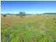 Boonah QLD 4310
