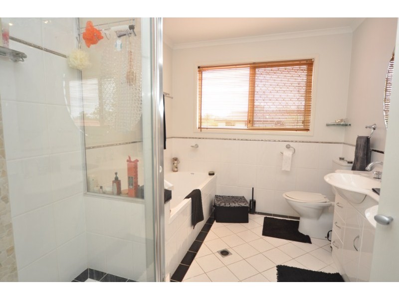 24 Bluegum Avenue, Hollywell QLD 4216