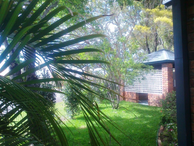 52 Columbus Drive, Hollywell QLD 4216