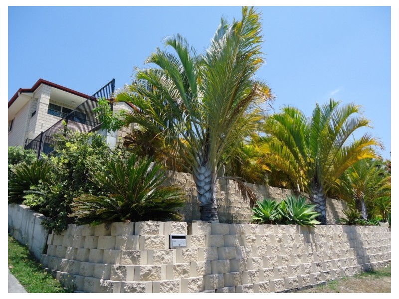 12 Tara Vista Boulevarde, Highland Park QLD 4211