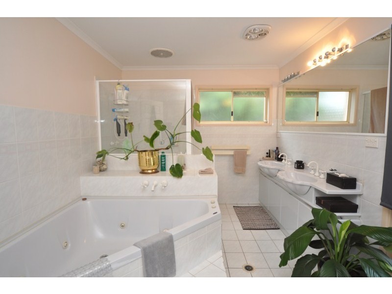 24 Bluegum Avenue, Hollywell QLD 4216